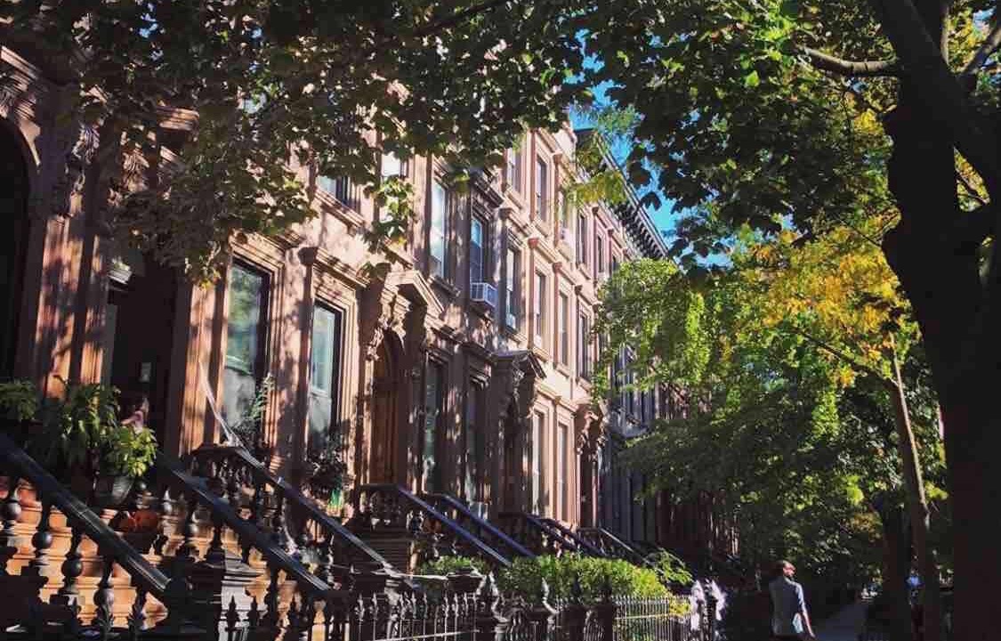 Photo of Others in Bedford-Stuyvesant
