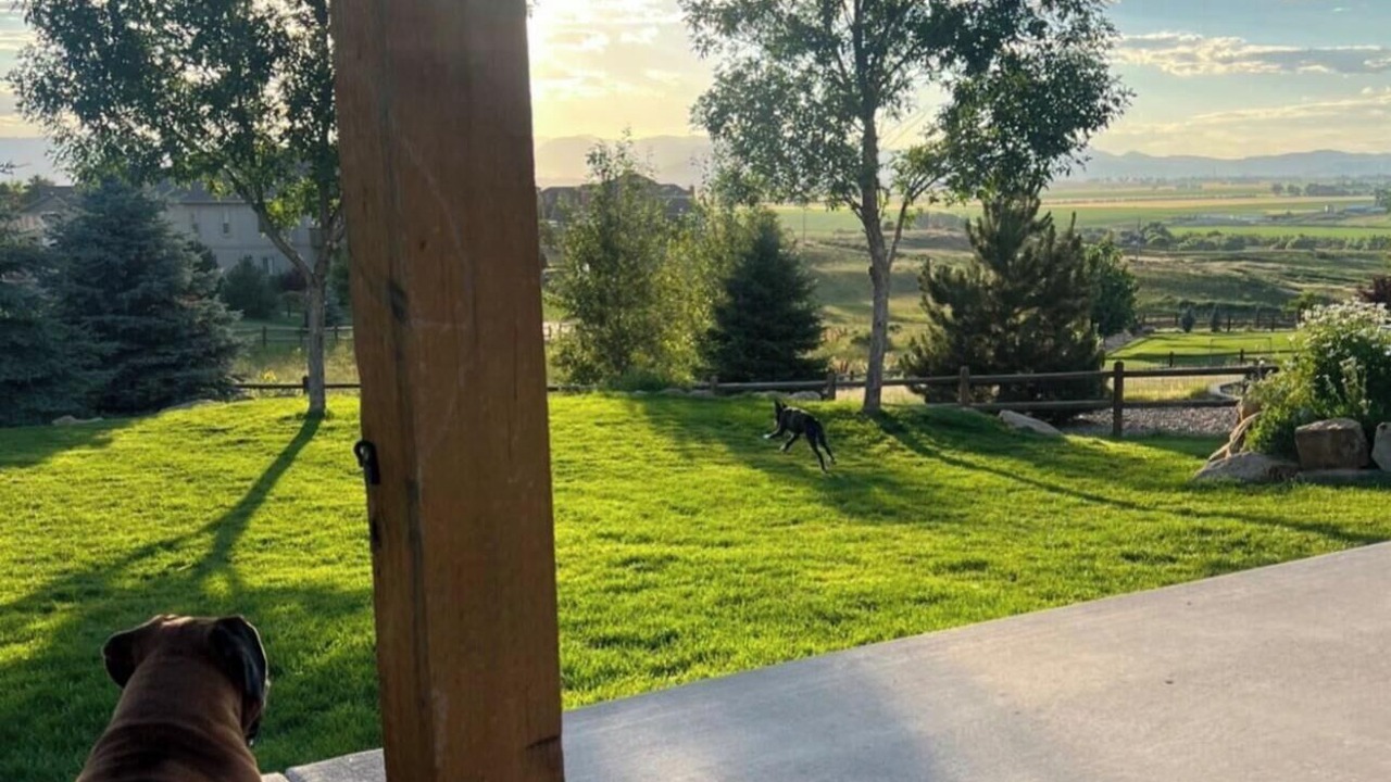 Photo of Outdoor in Berthoud