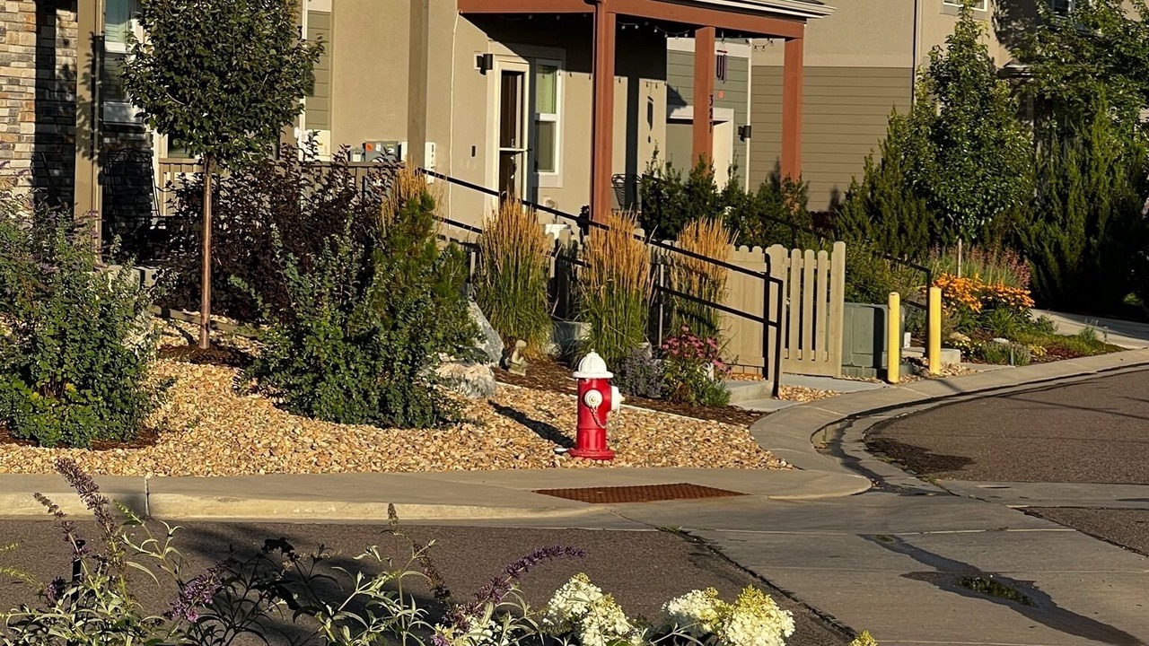 Photo of Outdoor in Longmont