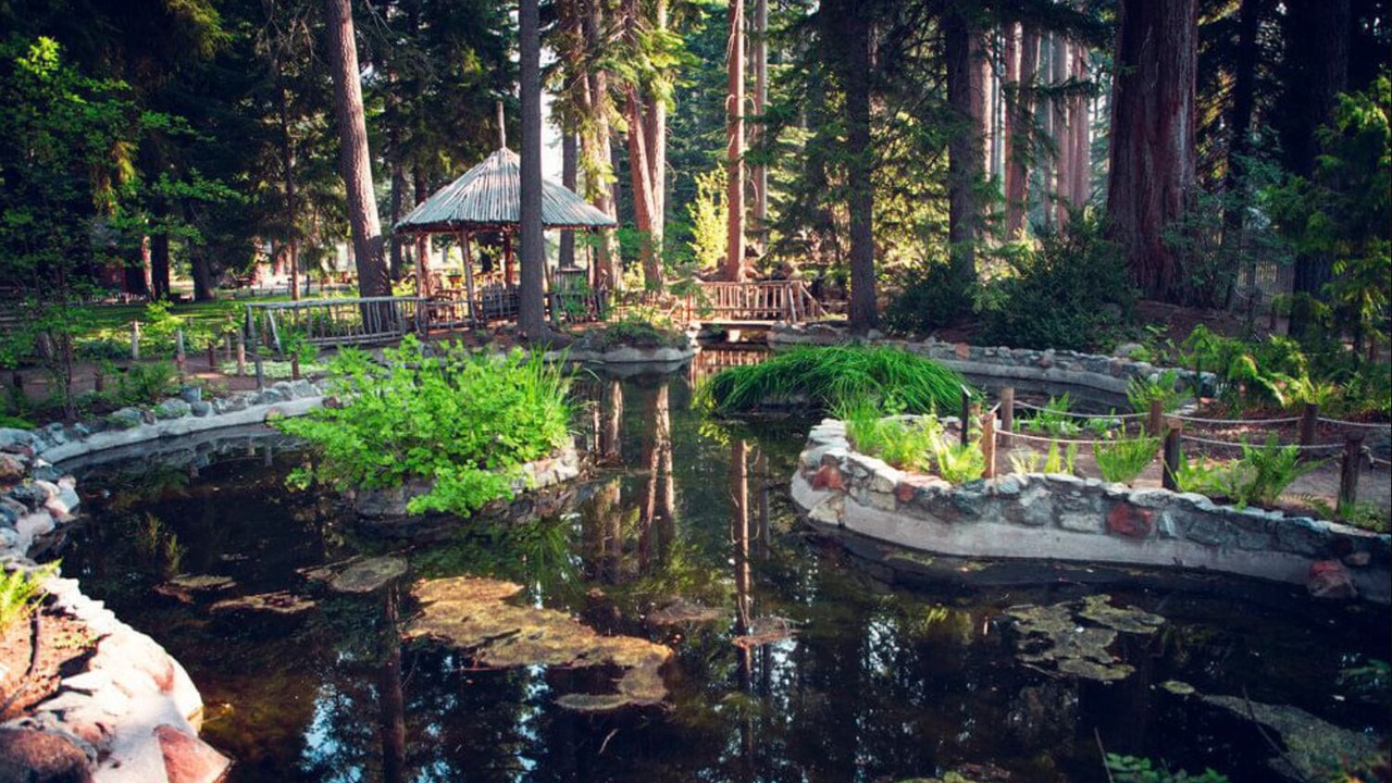 Photo of Others in Tahoe Valley