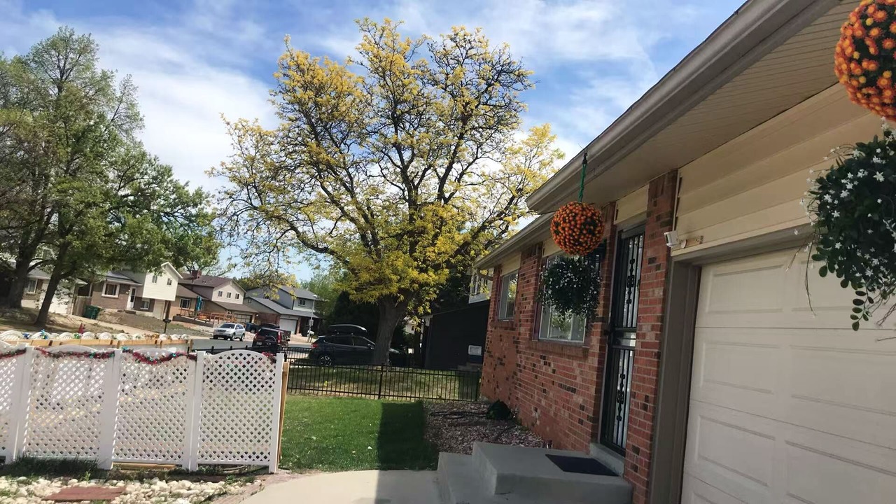 Photo of Outdoor in North Central Westminster