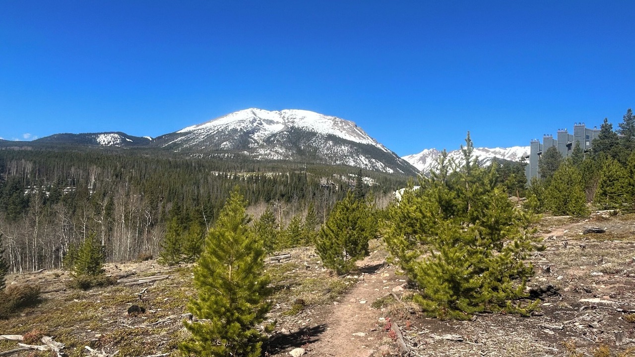 Photo of Others in Wildernest