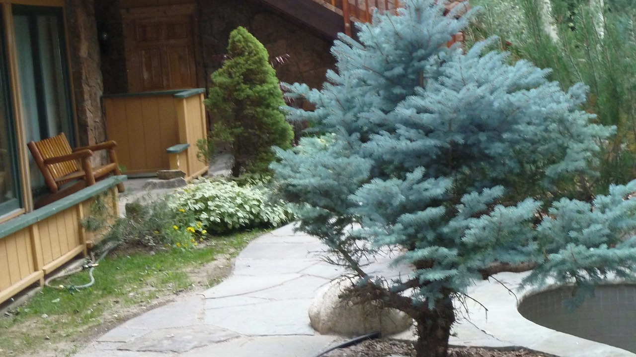 Photo of Outdoor in Aspen