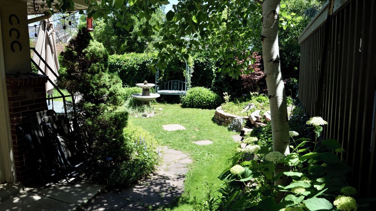 Photo of Outdoor in Golden