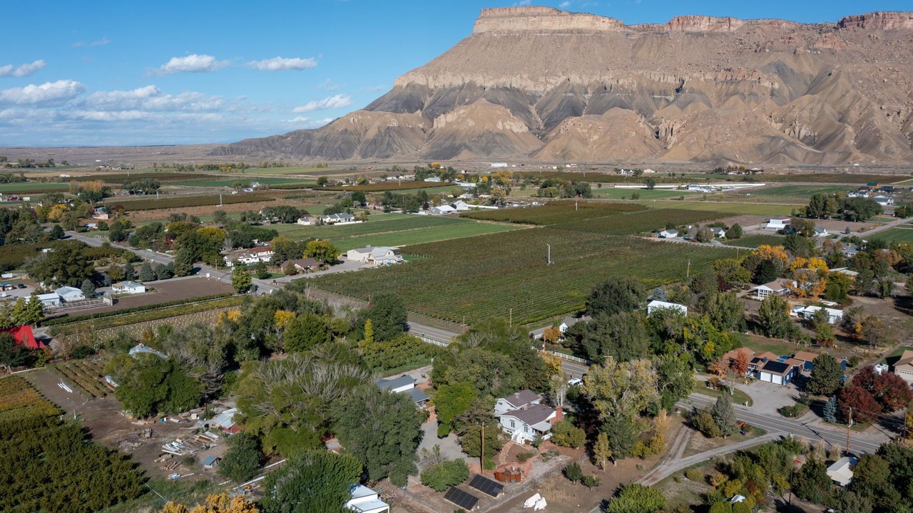 Photo of Outdoor in Palisade