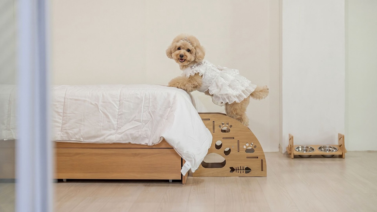 Photo of Bedroom in Deokhyeon