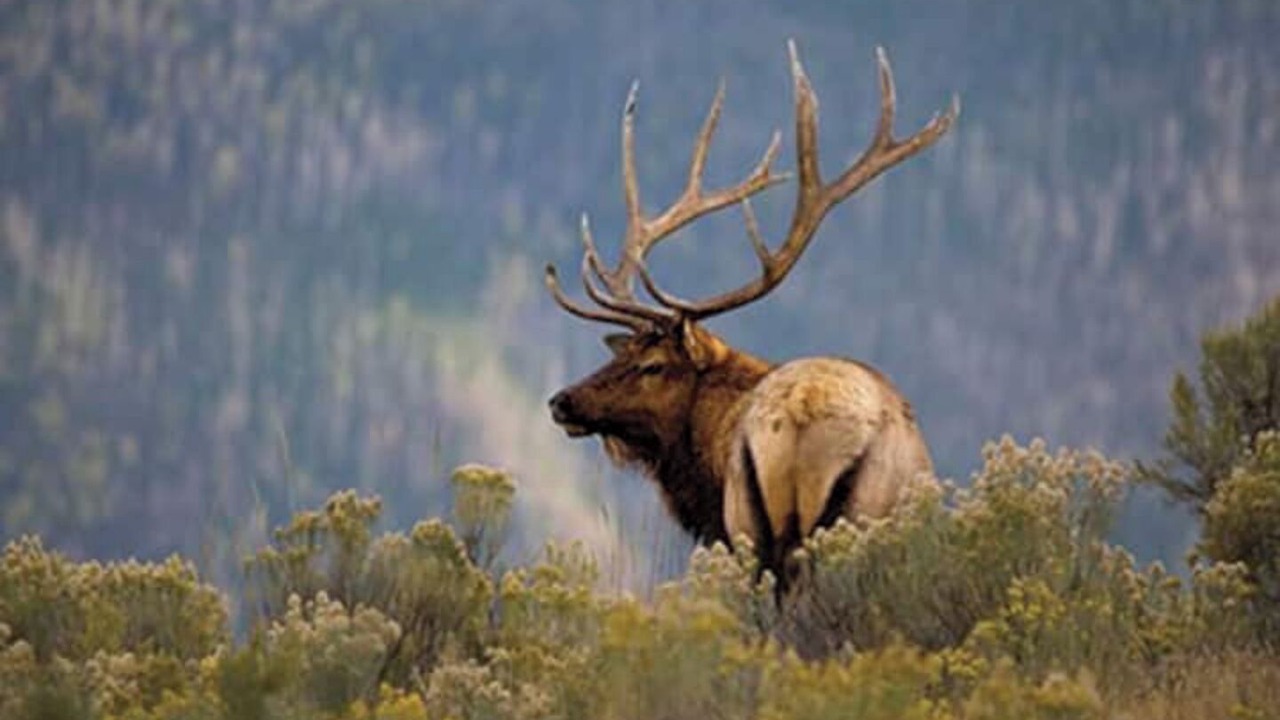 Photo of Others in Silvercreek