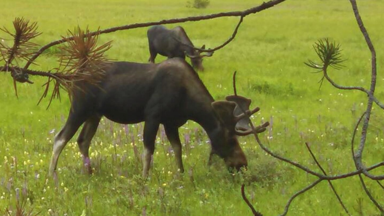 Photo of Others in Silvercreek