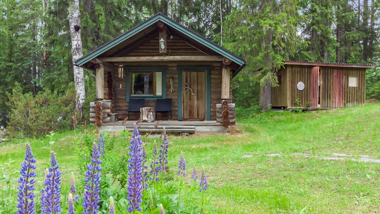 Photo of Others in Sonkajarvi