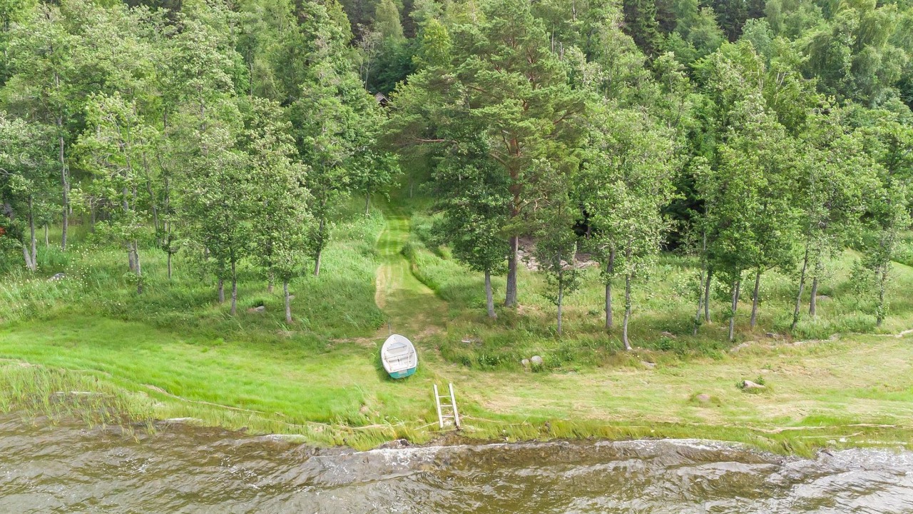 Photo of Others in Lapvaartti