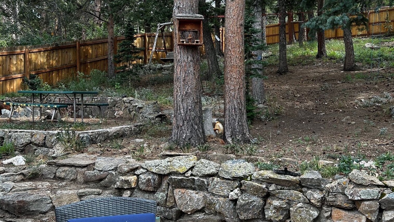 Photo of Outdoor in Nederland