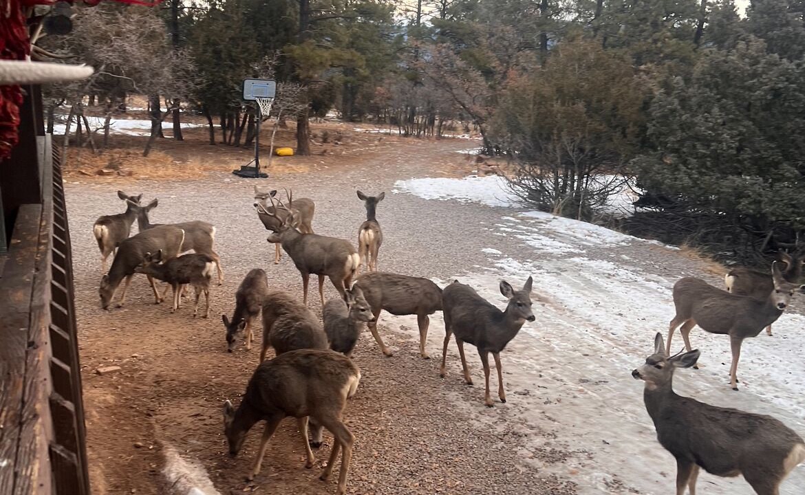 Photo of Others in Rutheron