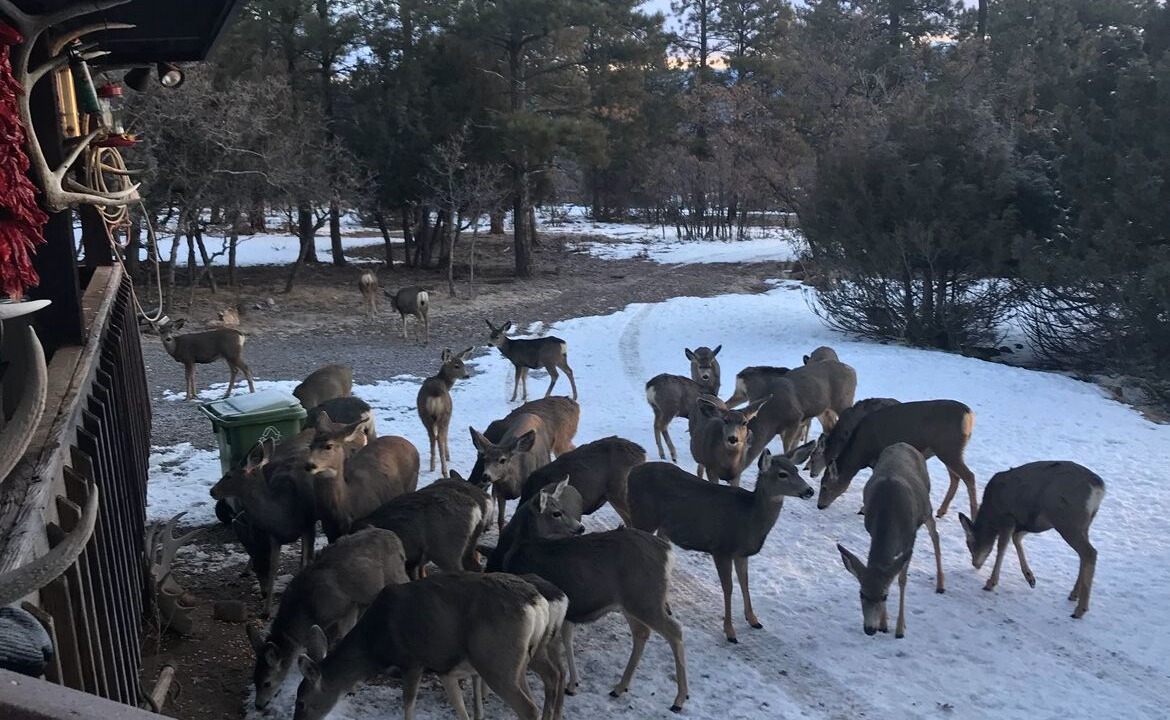 Photo of Outdoor in Rutheron