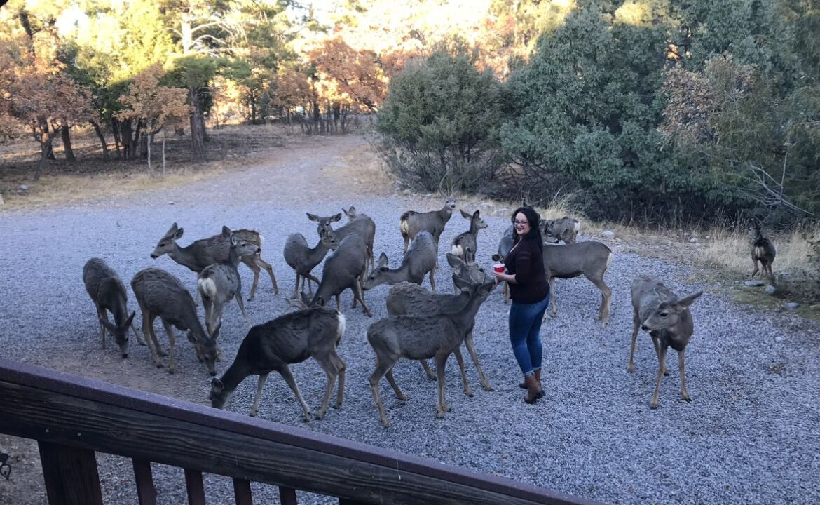 Photo of Others in Rutheron