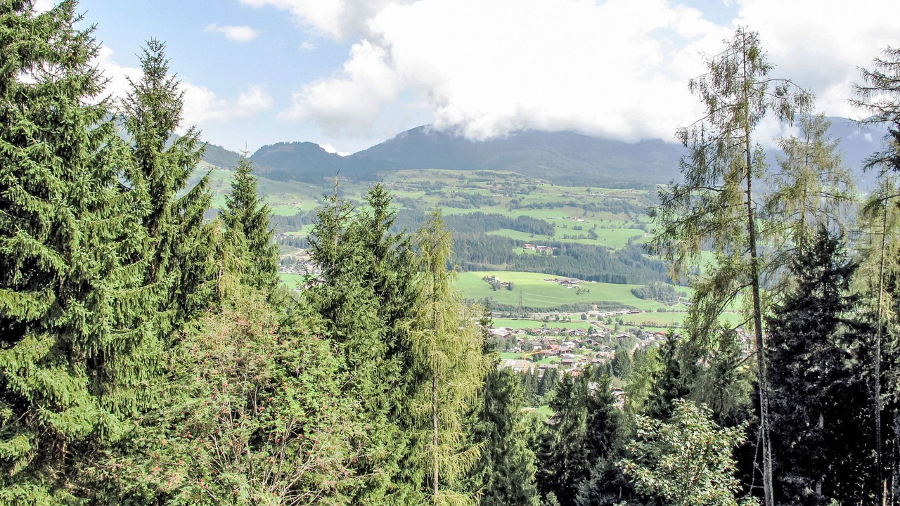Photo of Others in Hollersbach im Pinzgau