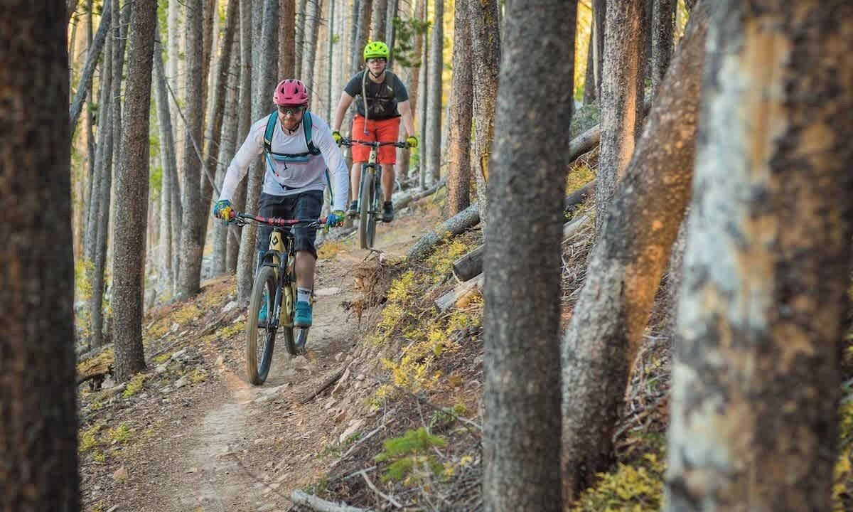 Photo of Others in Fraser