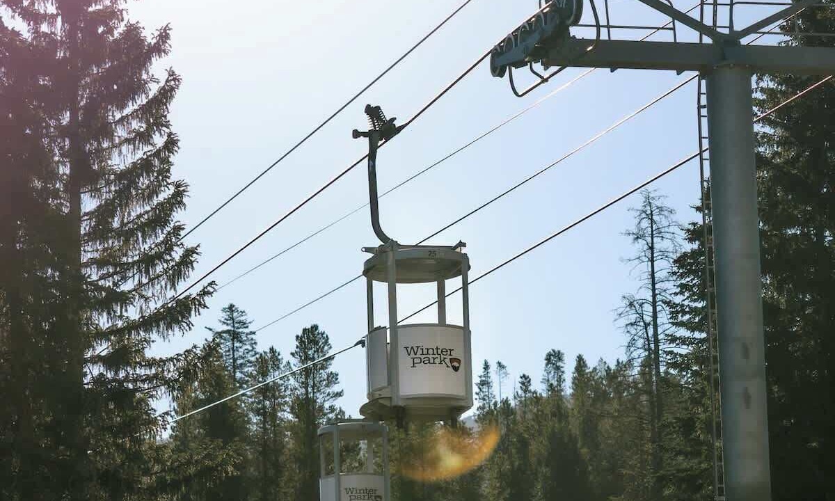 Photo of Others in Fraser