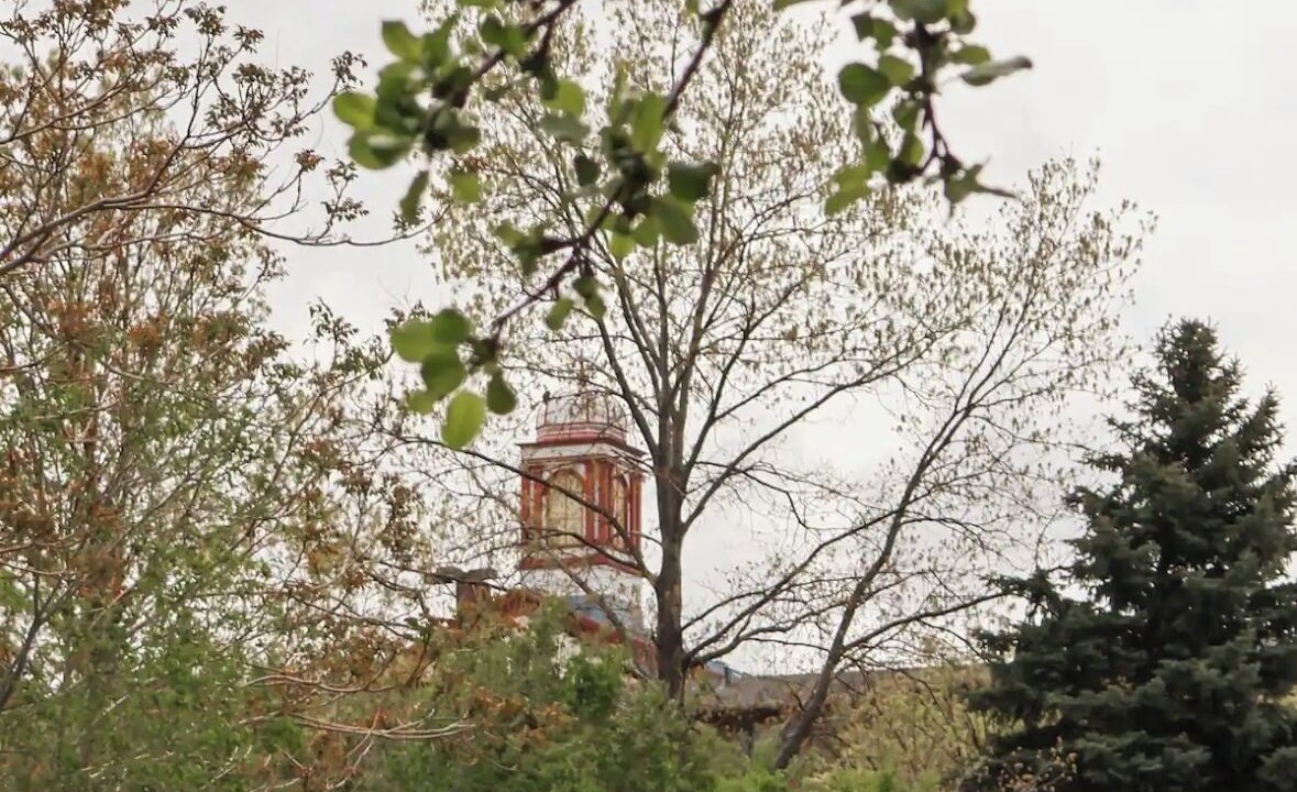 Photo of Others in Berkley