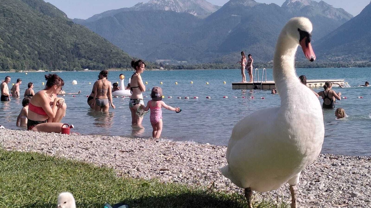 Photo of Others in Rovagny