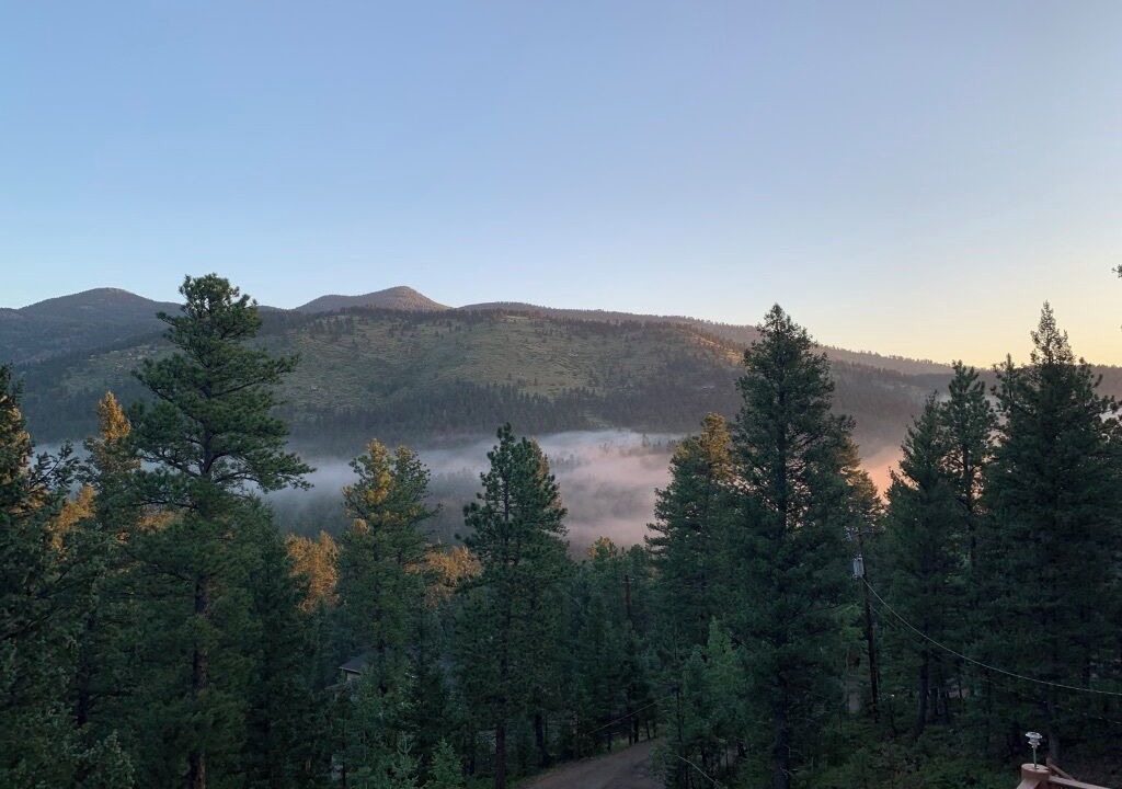 Photo of Others in Evergreen