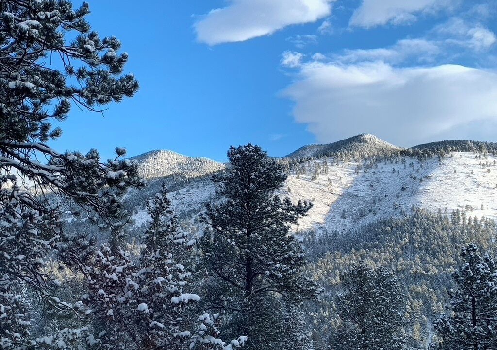 Photo of Others in Evergreen