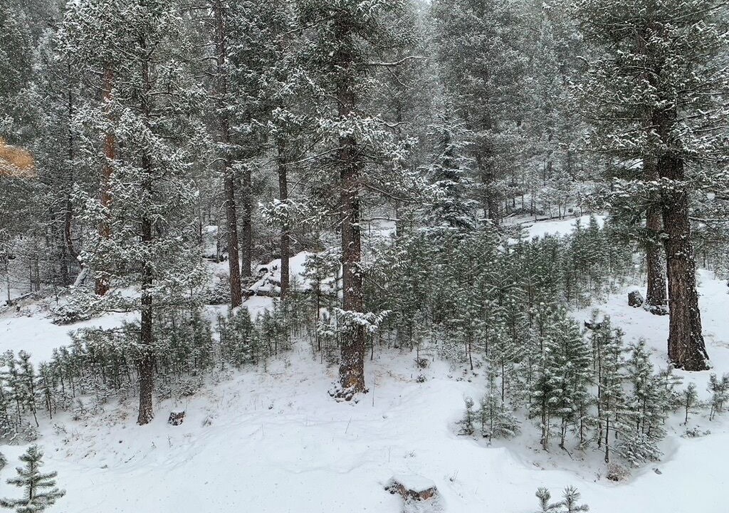 Photo of Outdoor in Evergreen
