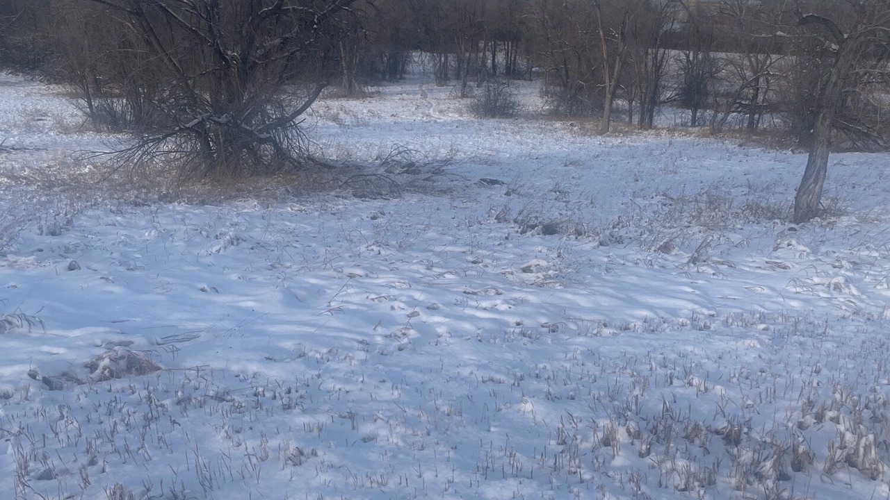 Photo of Others in Ralston Valley