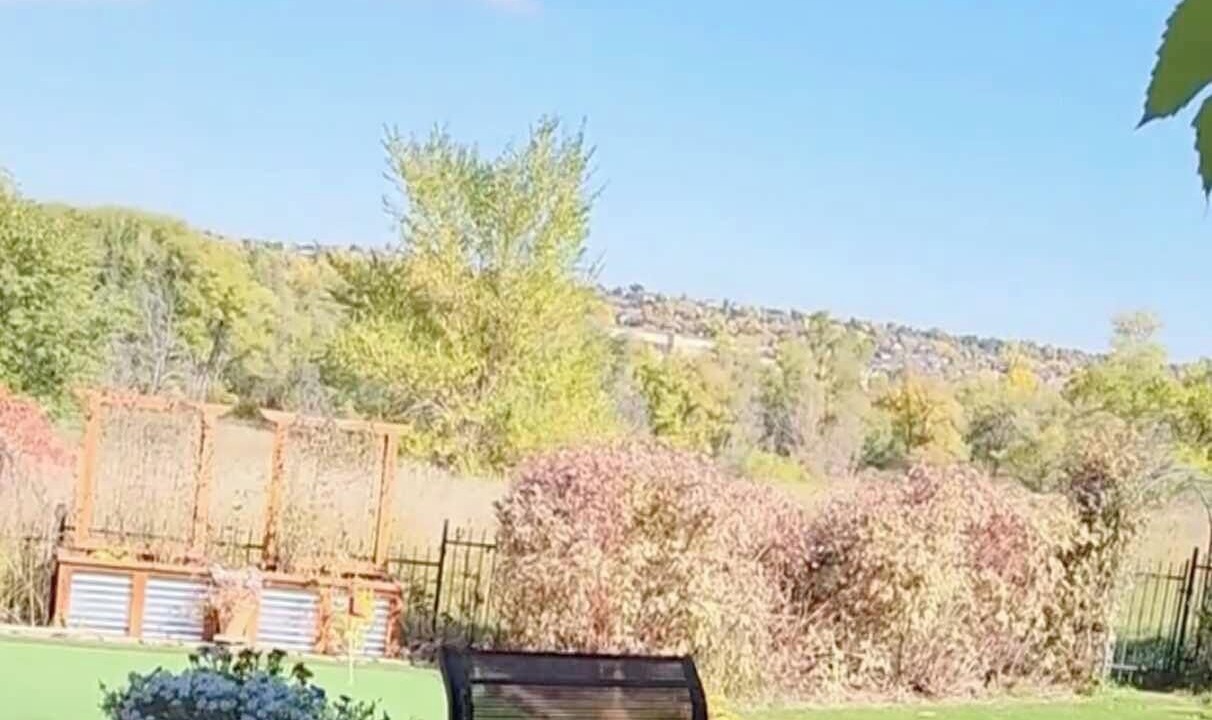 Photo of Outdoor in Ralston Valley