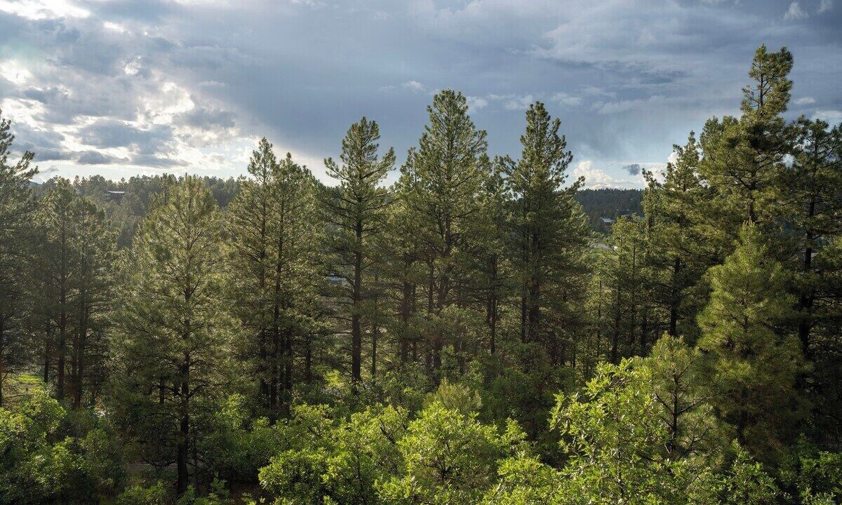Photo of Outdoor in Pagosa Springs
