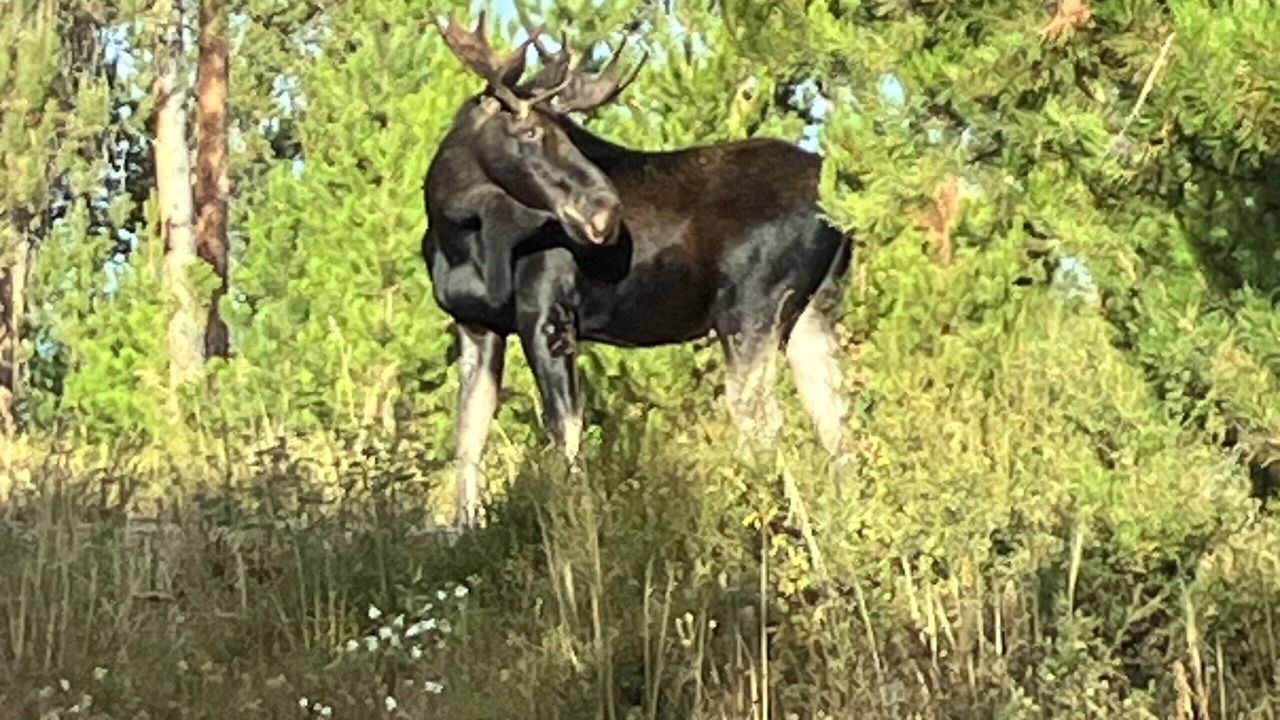Photo of Others in Grand Country Estates