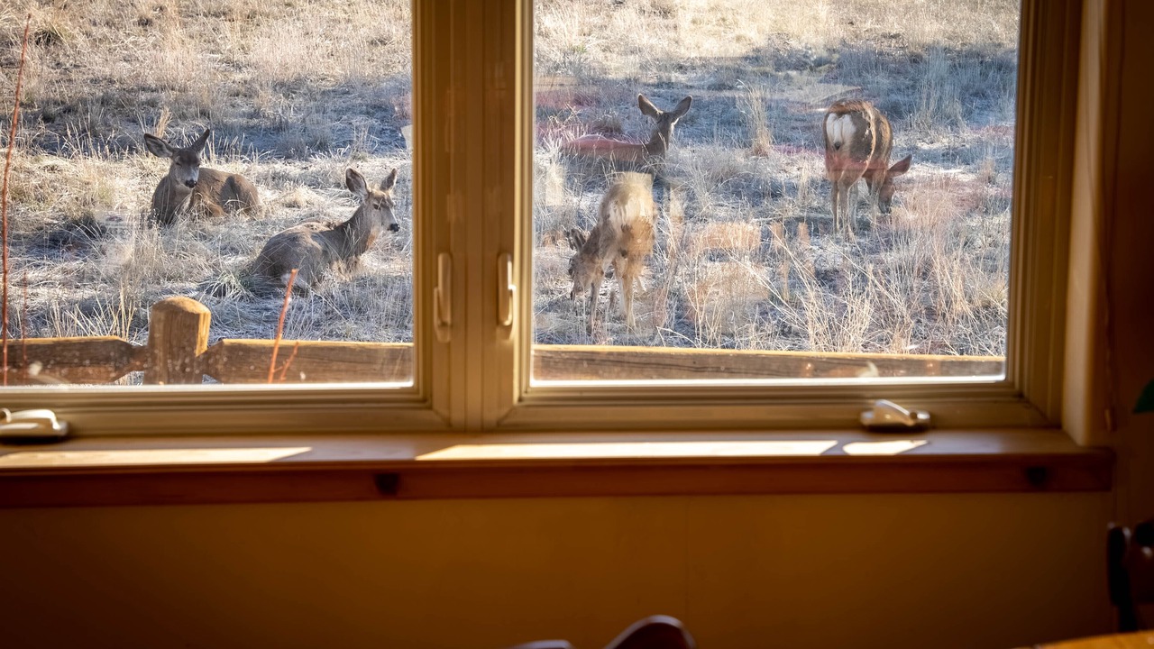 Photo of Others in Pagosa Springs