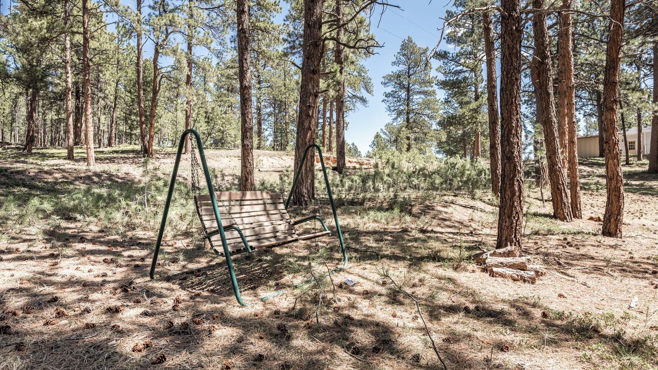 Photo of Others in Colorado Springs