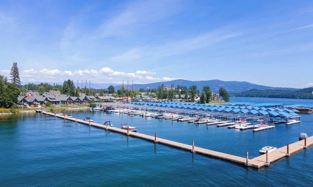 Photo of Others in Dover Bay