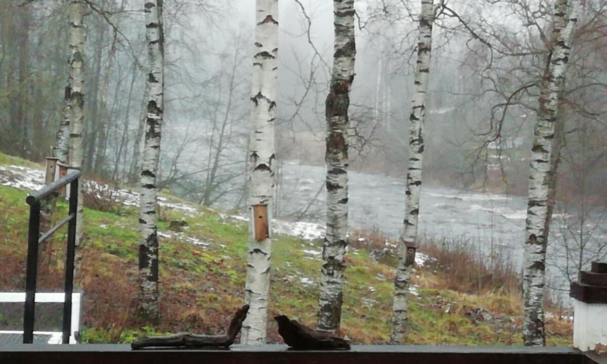 Photo of Outdoor in Kannus