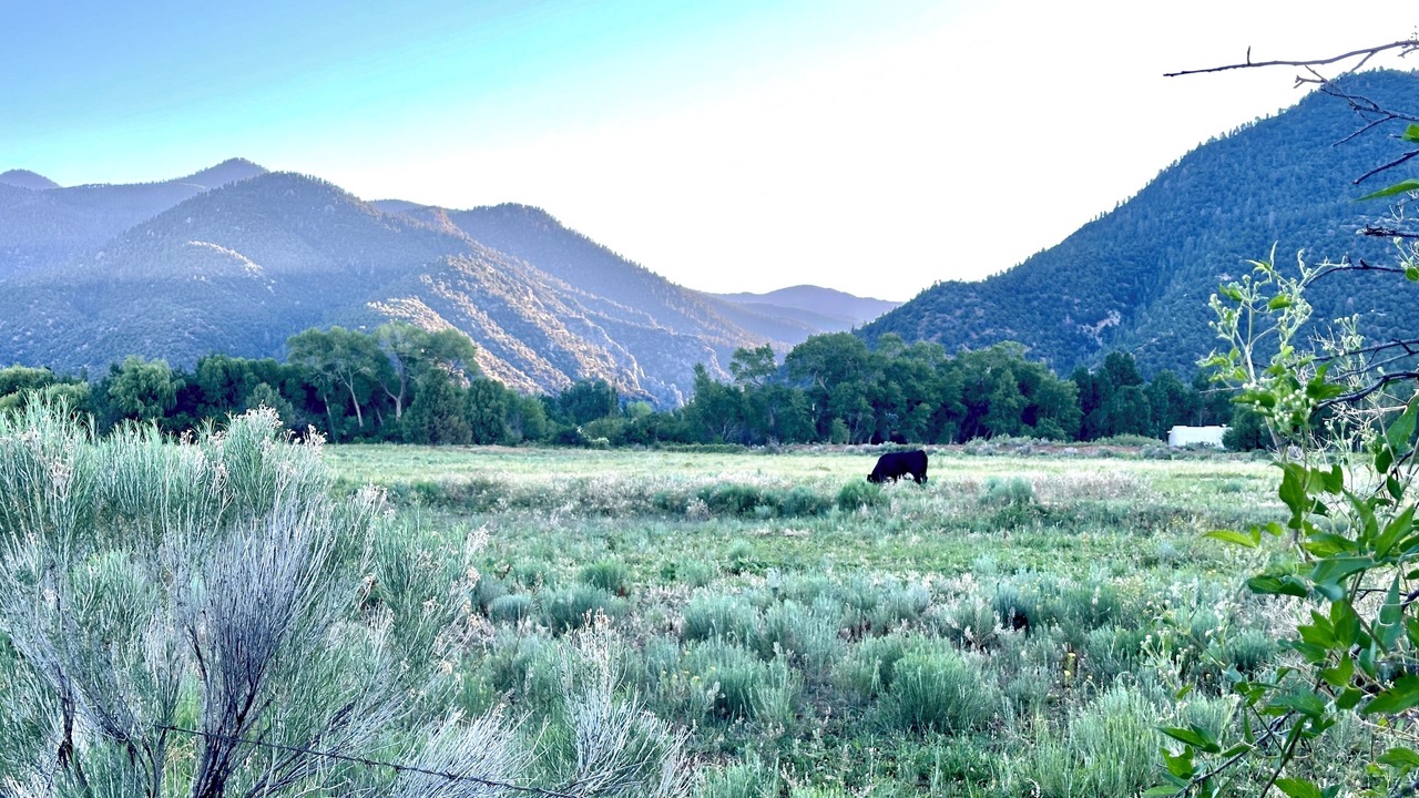 Photo of Outdoor in Arroyo Seco