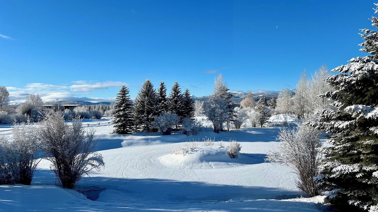 Photo of Outdoor in Wilson