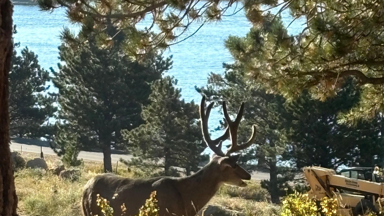 Photo of Others in Estes Park