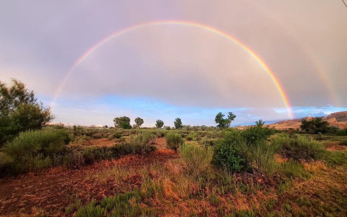 Photo of Others in Mesa County