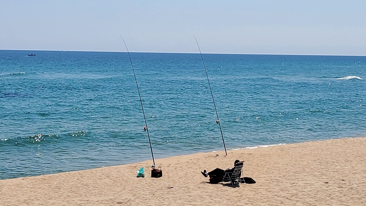 Photo of Others in Sokcho