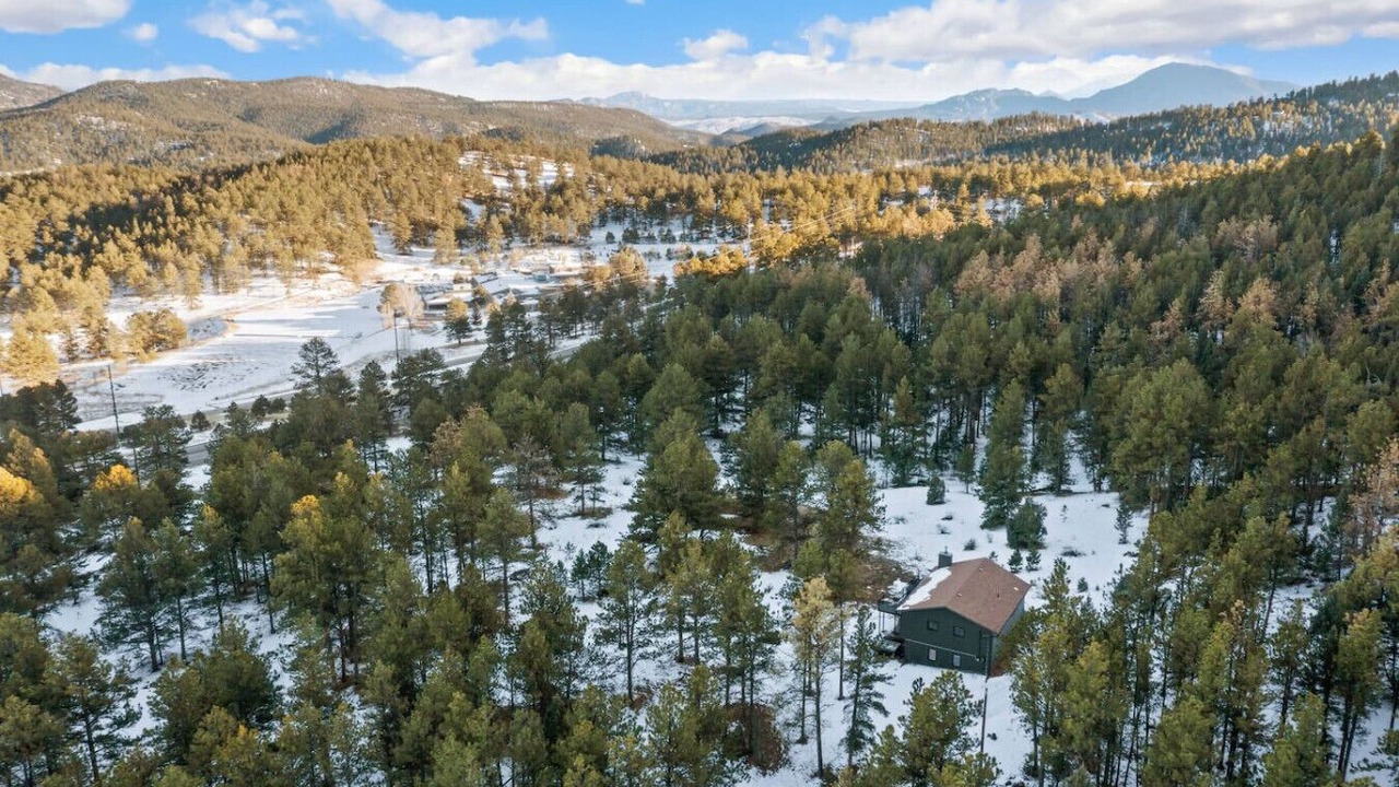 Photo of Outdoor in Pine