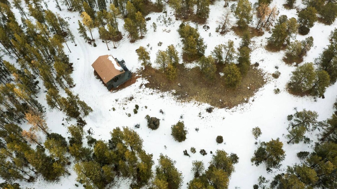 Photo of Outdoor in Pine