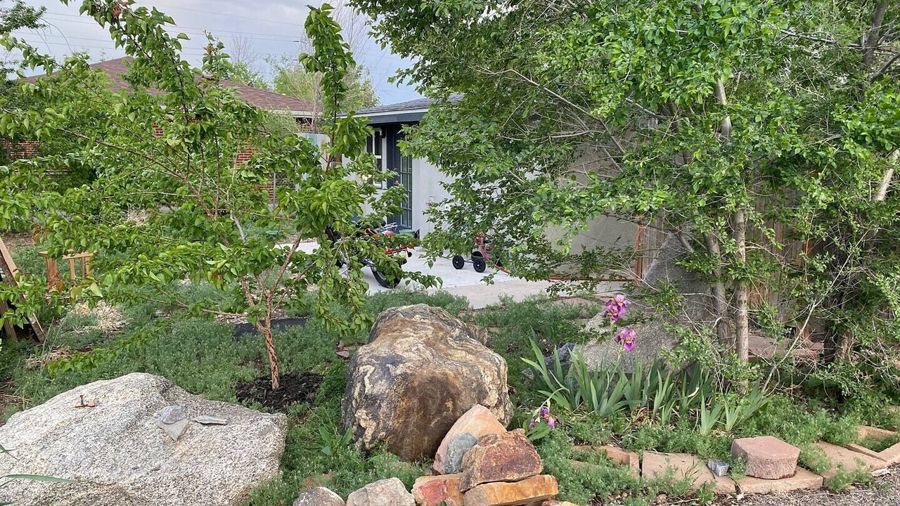 Photo of Outdoor in North Alameda