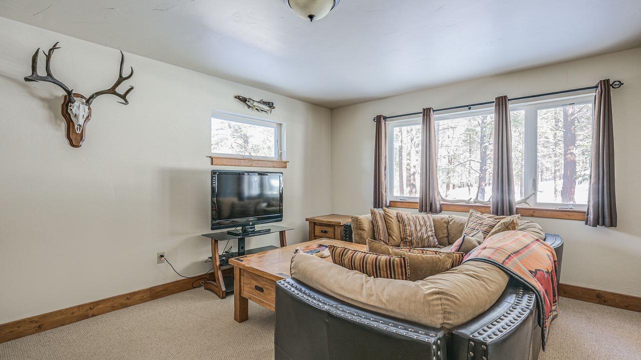Photo of Livingroom in Pagosa Springs