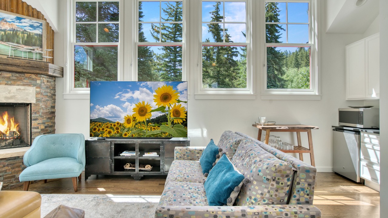 Photo of Livingroom in Minturn