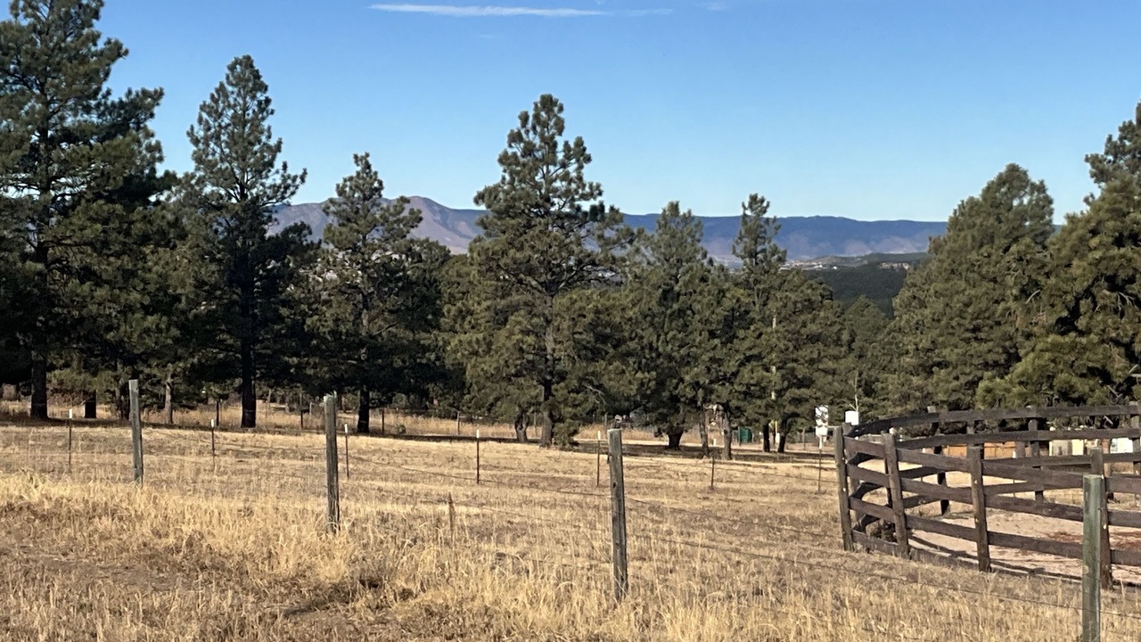 Photo of Outdoor in Colorado Springs