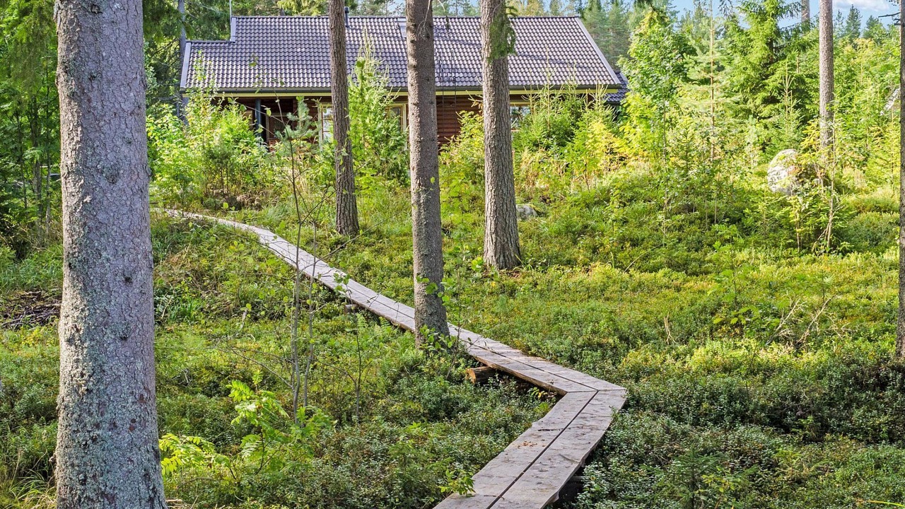 Photo of Outdoor in Koli National Park