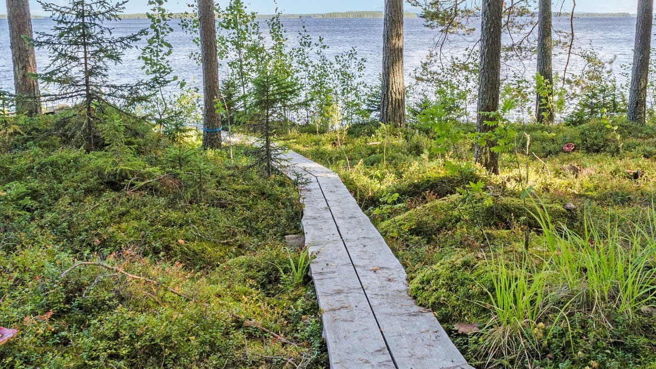 Photo of Outdoor in Koli National Park