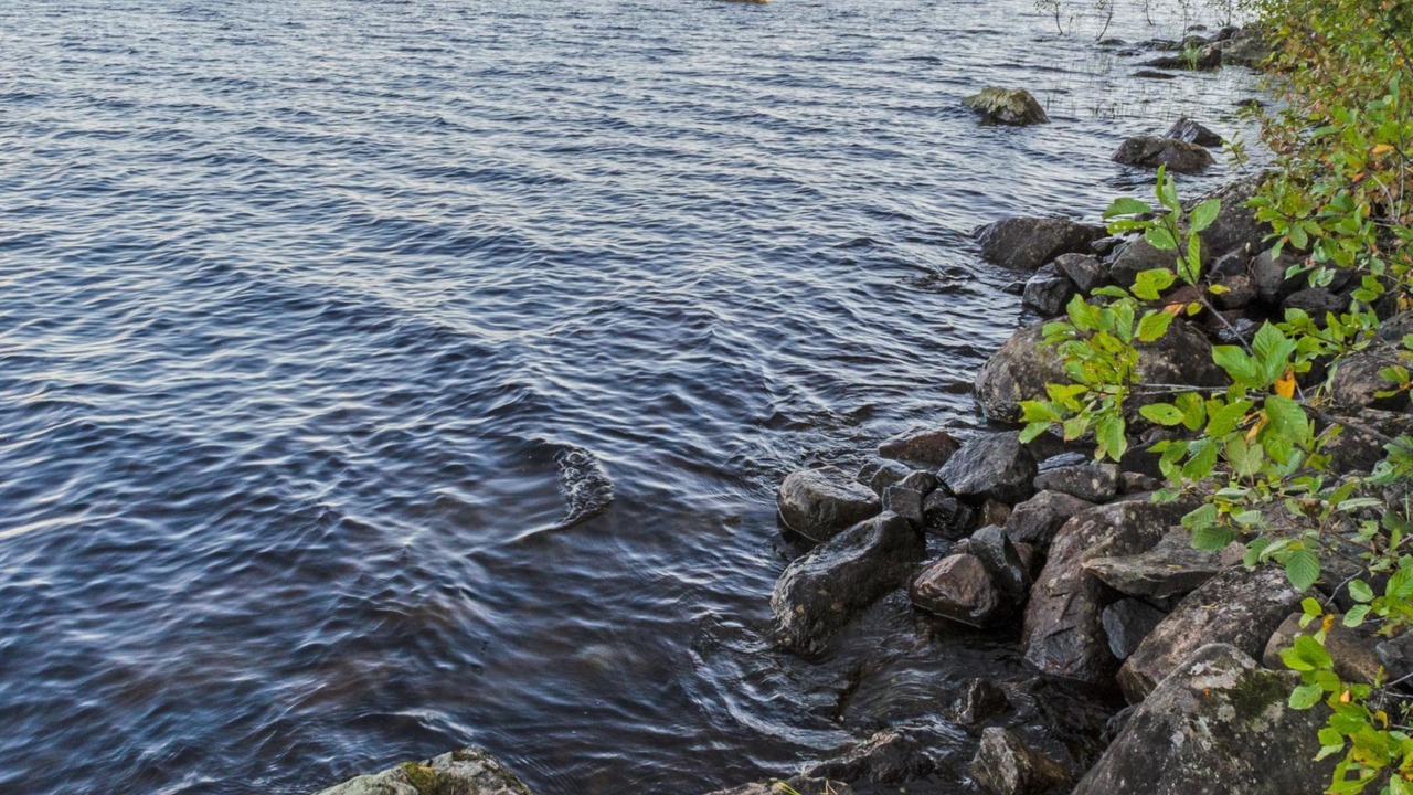 Photo of Others in Koli National Park