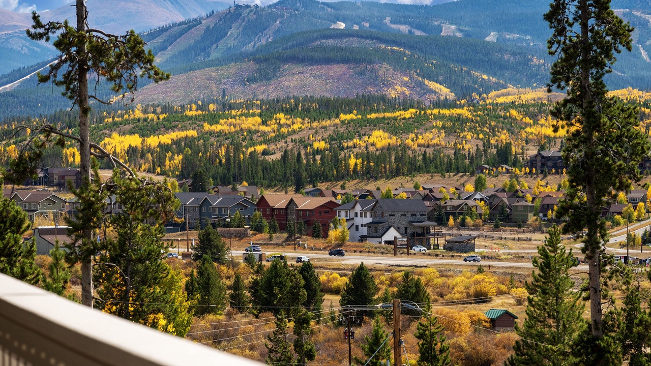 Photo of Others in Fraser