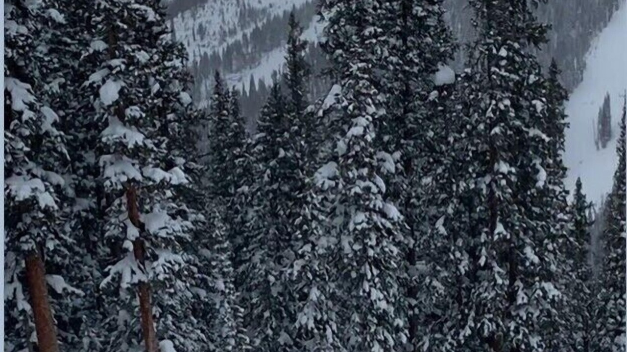 Photo of Others in Dillon